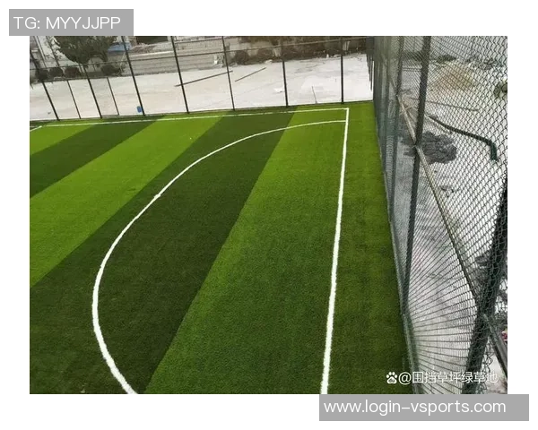 足球场草坪适合使用的草种及其特点分析与选择指南
